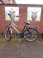 Nette Gazelle Medeo Trekking, frame 57 cm, 28 inch, 8 speed, Ophalen, Minder dan 10 versnellingen, Gebruikt, 56 cm of meer