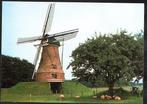 (GD326) Ansichtkaart molen Rekken De Piepermolen schapen, Ophalen of Verzenden, 1980 tot heden, Ongelopen, Gelderland