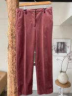 golden goose deluxe brand pantalon broek xl velours cherry, Overige kleuren, Maat 42/44 (L), Ophalen of Verzenden, Driekwart