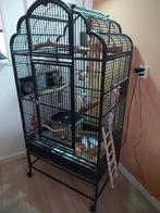 Papagaaienkooi, Ophalen of Verzenden, Gebruikt, Metaal, Vogelkooi