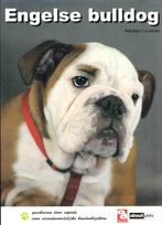 Engelse bulldog, Adriaan Louwrier, Verzenden, Honden, Zo goed als nieuw