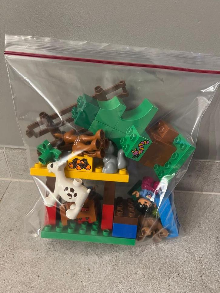 Duplo 10582 Bosavontuur - Complete Set, Kinderen en Baby's, Speelgoed | Duplo en Lego, Gebruikt, Duplo, Complete set, Ophalen