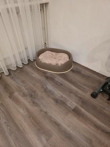 Hondenmand. beschikbaar voor biedingen