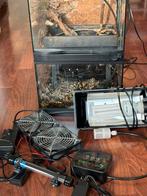 Paludarium Zoomed 60x30x30, Dieren en Toebehoren, Ophalen, Gebruikt, Terrarium of Paludarium