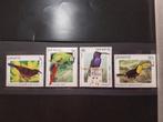 Vogelserie postfris Panama 1981., Postzegels en Munten, Postzegels | Thematische zegels, Ophalen of Verzenden, Dier of Natuur
