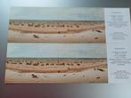 2 entree bewijs Panorama Mesdag. Volwassenen. 5€ per stuk, Tickets en Kaartjes, Eén persoon, Ticket of Toegangskaart