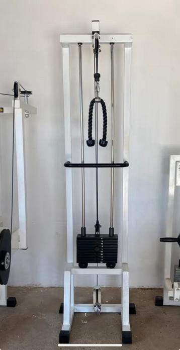 Technogym Isotonic Ercolina beschikbaar voor biedingen
