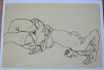 Egon Schiele - Liggend naakt - 1918 - nieuw, Verzenden, 1980 tot heden, Ongelopen, Overige thema's