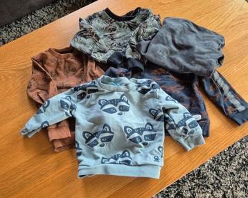 Jongens truie beschikbaar voor biedingen