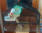 Hamsterkooi., Kooi, Gebruikt, Minder dan 75 cm, Hamster