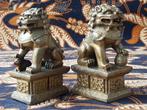 Prachtig stel oude Oosterse Foo dogs van verguld brons., Antiek en Kunst, Kunst | Niet-Westerse kunst, Ophalen of Verzenden