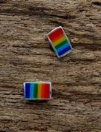 Regenboog Oorknopjes - Oorstekers - Echt Zilver - lhbtiq+, Verzenden, Info@toas.nl, Nieuw, Touch of Asia