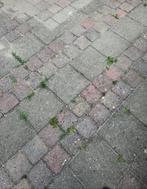 Gratis tuintegels ophalen in Zoetermeer, Tuin en Terras, Tegels en Klinkers, Ophalen, Zo goed als nieuw