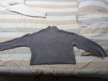 Twee truien: FB Sister Knitwear & Wit beschikbaar voor biedingen