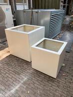 Adezz plantenbak type Buxus 60 x 60 x 60 kleur wit, Tuin en Terras, Bloembakken en Plantenbakken, Ophalen, Gebruikt, Kunststof