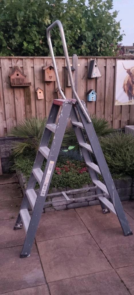 Altrex Falco dubbel oploopbare trap, Doe-het-zelf en Verbouw, Ladders en Trappen, Ophalen