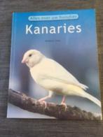 Kanaries, Ophalen of Verzenden, Zo goed als nieuw, Vogels