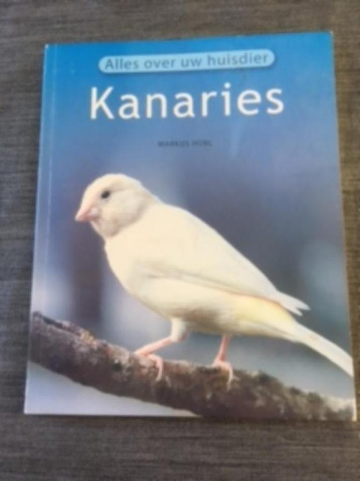 Kanaries, Boeken, Dieren en Huisdieren, Zo goed als nieuw, Vogels, Ophalen of Verzenden