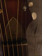 Framus Capri 5/53 Archtop Gitaar - Vintage!, Ophalen of Verzenden, Zo goed als nieuw, Western- of Steelstringgitaar