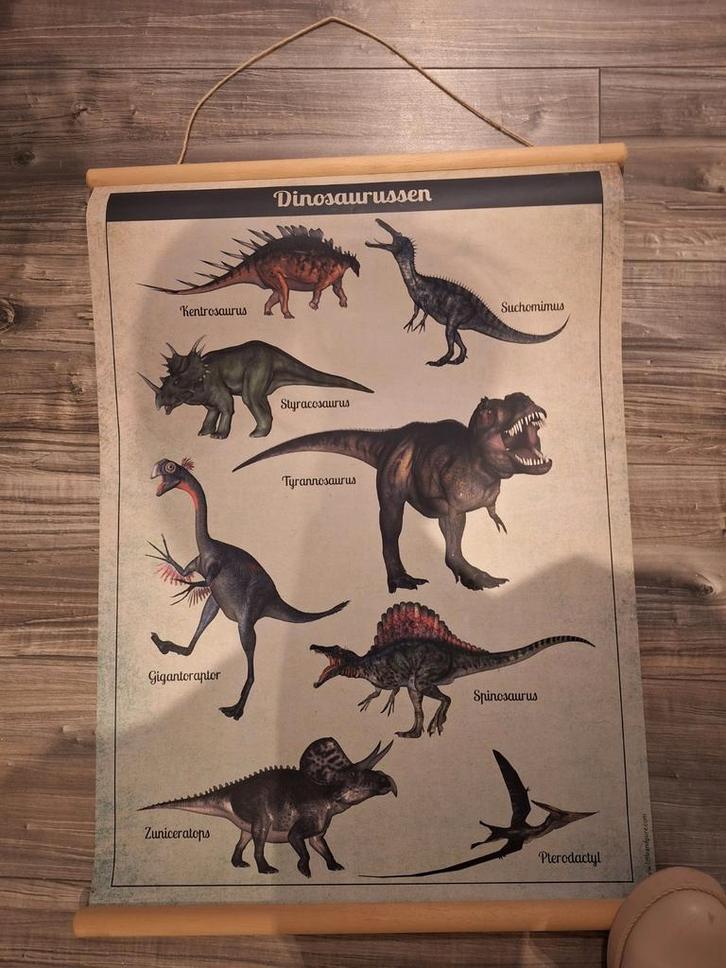 Dino Poster - Educatief & Decoratief!, Antiek en Kunst, Antiek | Schoolplaten, Ophalen of Verzenden