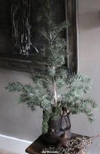 Vergrijsde ceder 90 cm in jute pot, Www.jufbrocante.nl, Www.jufbrocante.nl, Nieuw, Ophalen of Verzenden