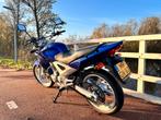 Honda cbf250 2006 CBF CBX twister, Motoren, Particulier, Minimaal motorrijbewijs A2, 249 cc, 1 cilinder