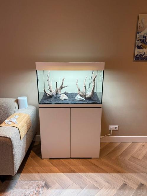 Oase Styleline 175, COMPLEET AQUARIUM, Dieren en Toebehoren, Vissen | Aquaria en Toebehoren, Zo goed als nieuw, Gevuld zoetwateraquarium