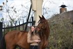 Trainingsplek vrij – Dressuur & werken aan de hand, Diensten en Vakmensen, Dieren | Paarden | Verzorging, Oppas en Les