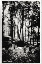 HULST - WALLEN, Ophalen of Verzenden, Ongelopen, Natuur