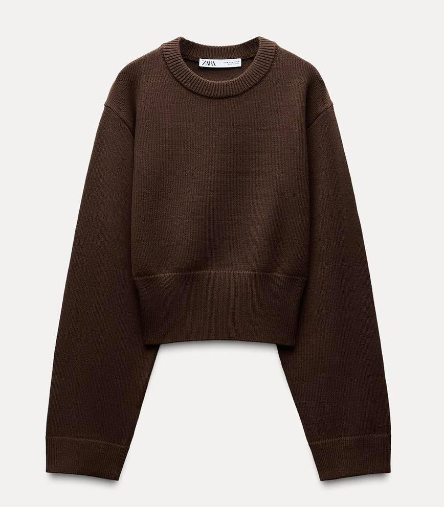 Bruine Zara Trui - Maat M, Kleding | Dames, Ophalen of Verzenden, Zo goed als nieuw, Maat 38/40 (M), Bruin