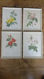 Redouté vintage botanische rozen prints posters in frame, Minder dan 50 cm, Gebruikt, Ophalen of Verzenden, Print
