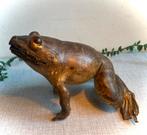 Grote Vintage ogezete kikker Borneo, Dieren en Toebehoren, Reptielen en Amfibieën, Amfibie