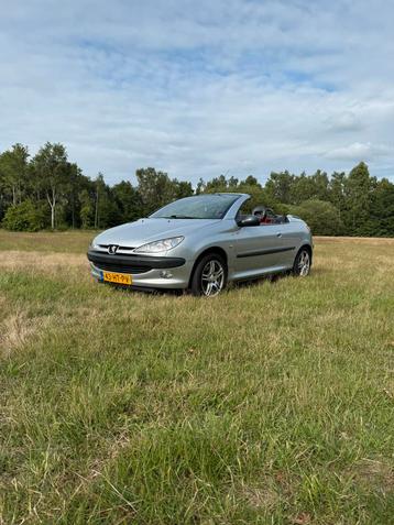 Peugeot 206 1.6 16V CC 2002 Grijs beschikbaar voor biedingen