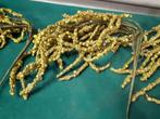 32/a kunsttakken, goud glitter, Diversen, Kerst, Ophalen of Verzenden, 'T Olde Gre-j, Info@toldegrej.nl, Endepoelstraat 20f Didam