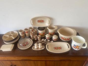 Emsa servies bloemen vintage camping + o.a. Mepal beschikbaar voor biedingen