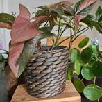 Bloempot bruin riet | planten pot mand, Tuin en Terras, Ophalen of Verzenden, Rond