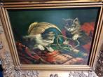 Mooi poezen schilderij rechtsondern gesigneerd Raaphorst, Antiek en Kunst, Kunst | Schilderijen | Klassiek, Ophalen of Verzenden
