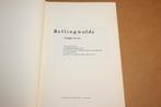 Bellingwolde vroeger en nu - Jubileumboek 1979, Boeken, Geschiedenis | Stad en Regio, Ophalen of Verzenden, 20e eeuw of later
