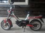 Tomos youngster'r, Ophalen, Gebruikt, Standard