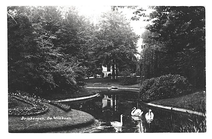 943153 Driebergen De Wildbaan 1932 Postzegel afgeweekt, Verzamelen, Ansichtkaarten | Nederland, Gelopen, Noord-Brabant, 1920 tot 1940