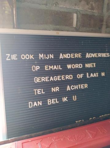 Zeldzame koppel ww 2 beschikbaar voor biedingen