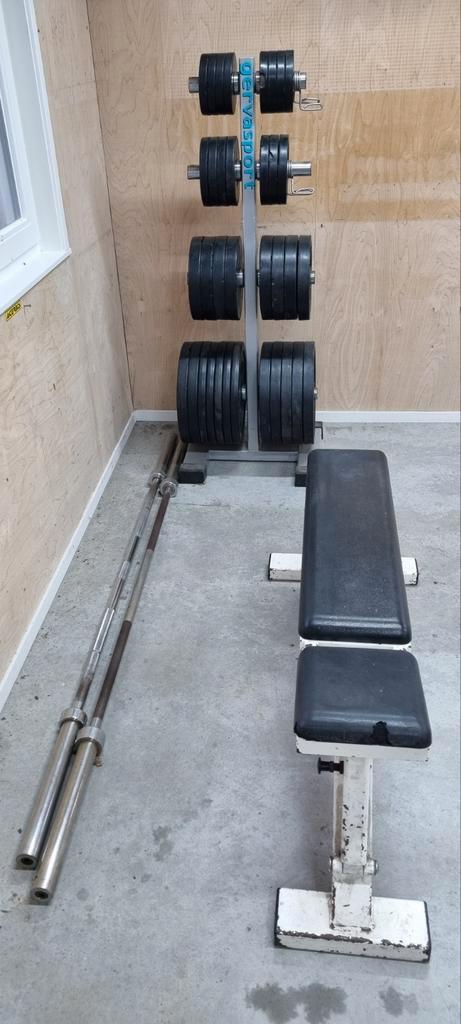 Bankje met halters en bumperplates gewichtsschijven, Sport en Fitness, Fitnessmaterialen, Gebruikt, Ophalen
