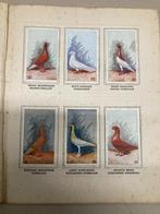 T.K. Onze duiven in woord en beeld  Pleines Album IX, Boeken, Ophalen of Verzenden, Gelezen, Plaatjesalbum