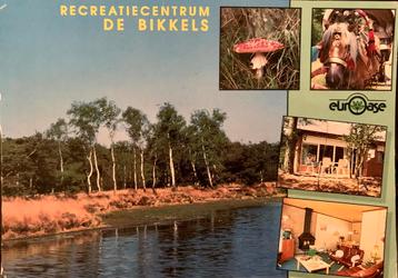 Vlierden, EurOase recreatiecentrum. beschikbaar voor biedingen