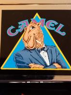 Zippo camel sigaretten alziend oog, Ophalen of Verzenden, Aansteker