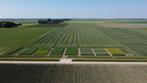 Proefveld-medewerker (Dronten), Variabele uren, Tijdelijk contract
