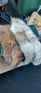 Bontkraag, Ophalen of Verzenden