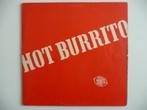 lp THE FLYING BURRITO BROTHERS - HOT BURRITO - AM RECORDS, 1960 tot 1980, Ophalen of Verzenden, Zo goed als nieuw, 12 inch