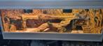 Terrarium 161x63x64, Dieren en Toebehoren, Ophalen, Nieuw