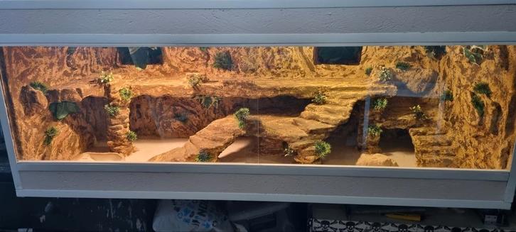 Terrarium 161x63x64, Dieren en Toebehoren, Reptielen en Amfibieën | Toebehoren, Nieuw, Ophalen